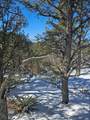 TBD North Mountain Drive - Photo 19
