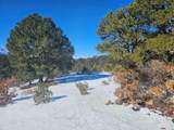TBD North Mountain Drive - Photo 9