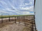 4022 Eagle Ranch Rd - Photo 30