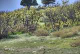 Tract 21 Raspberry Mountain Ranch - Photo 2
