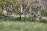 Tract 21 Raspberry Mountain Ranch - Photo 5
