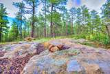 TBD Spanish Peaks - Photo 5