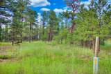 TBD Spanish Peaks - Photo 6