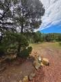 TBD Lower Mine - Photo 22