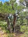TBD Lower Mine - Photo 24