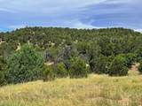 TBD Lower Mine - Photo 36