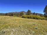 1445 Co Rd 671 - Photo 10