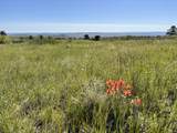 1445 Co Rd 671 - Photo 15