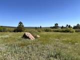 1445 Co Rd 671 - Photo 4