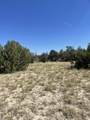 TBD El Capitan Rd - Photo 3
