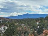 TBD Primero Ranch Rd - Photo 17