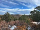 TBD Primero Ranch Rd - Photo 3