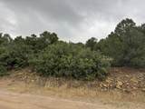 TBD Reins Rd - Photo 11
