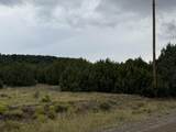 TBD Reins Rd - Photo 4