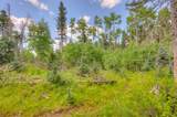 Tract 1 Cuchara Pass Ranch - Photo 11