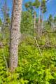 Tract 1 Cuchara Pass Ranch - Photo 12