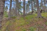Tract 1 Cuchara Pass Ranch - Photo 5