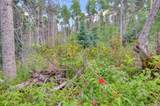 Tract 1 Cuchara Pass Ranch - Photo 7