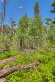 Tract 1 Cuchara Pass Ranch - Photo 9