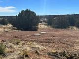 TBD Navajo Ranch Resorts #3 - Photo 4