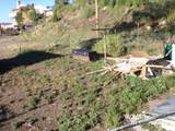 830 Pine St - Photo 36