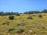 TBD La Deora Blvd - Photo 4