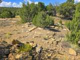TBD La Deora Blvd - Photo 6