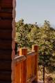 33022 Fisher Peak - Photo 44