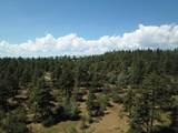 19070 Arrowhead Rd - Photo 14