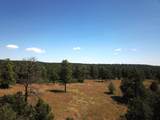 19070 Arrowhead Rd - Photo 16