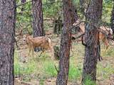 19070 Arrowhead Rd - Photo 24
