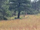19070 Arrowhead Rd - Photo 29