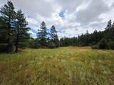 19070 Arrowhead Rd - Photo 5
