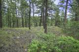 18990 Bellanca Circle - Photo 17