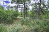 18990 Bellanca Circle - Photo 5