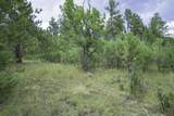 18990 Bellanca Circle - Photo 9