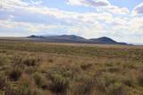 20 Acres Rio Grande Ranches - Photo 1