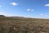 20 Acres Rio Grande Ranches - Photo 17