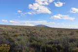 20 Acres Rio Grande Ranches - Photo 19