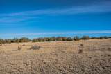 Parcel 24 Hatchet Ranch - Photo 5