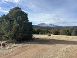 lot 142a Silver Spurs Ranch - Photo 1