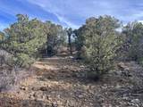 lot 142a Silver Spurs Ranch - Photo 11