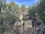 lot 142a Silver Spurs Ranch - Photo 17