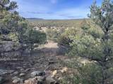lot 142a Silver Spurs Ranch - Photo 18