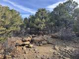 lot 142a Silver Spurs Ranch - Photo 20