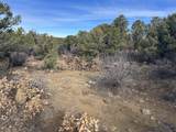lot 142a Silver Spurs Ranch - Photo 21