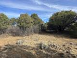 lot 142a Silver Spurs Ranch - Photo 23