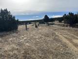 lot 142a Silver Spurs Ranch - Photo 26