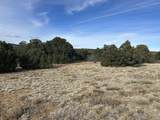 lot 142a Silver Spurs Ranch - Photo 5