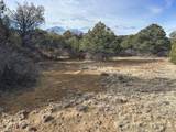 lot 142a Silver Spurs Ranch - Photo 6